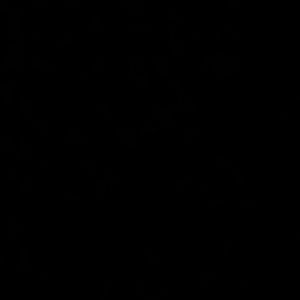 Meet your Posher, Hunter